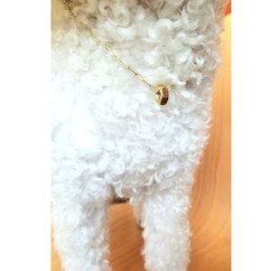 Pet Necklace with Brass Nut Hardware Pendant
